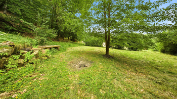 Prodej domu 556 m², Cvikov