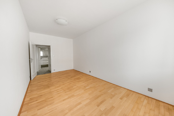 Další z pokojů  - Pronájem bytu 4+kk v osobním vlastnictví 97 m², Praha 3 - Žižkov