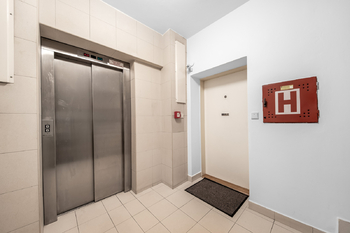 Vstup do bytu s výtahem - Pronájem bytu 4+kk v osobním vlastnictví 97 m², Praha 3 - Žižkov