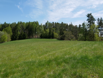 Prodej domu 159 m², Neveklov