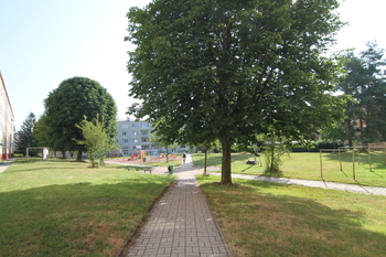 Pronájem bytu 2+1 v osobním vlastnictví 56 m², Nová Role