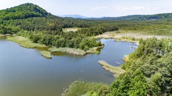 Prodej pozemku 3913 m², Doksy