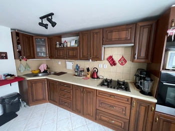 Prodej domu 177 m², Nové Syrovice