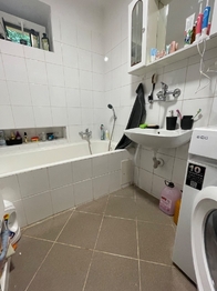 Prodej domu 177 m², Nové Syrovice