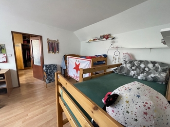 Prodej domu 177 m², Nové Syrovice