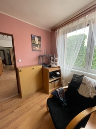 Prodej domu 177 m², Nové Syrovice