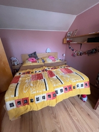 Prodej domu 177 m², Nové Syrovice