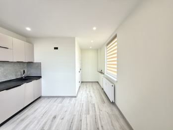 Prodej bytu 3+kk v osobním vlastnictví 60 m², Chomutov