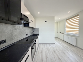 Prodej bytu 3+kk v osobním vlastnictví 60 m², Chomutov