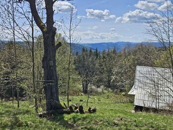 Prodej chaty / chalupy 74 m², Klokočov