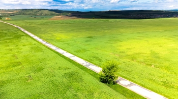 pozemek s napojením ze silnice foto 2 - Prodej pozemku 31358 m², Pouzdřany