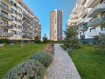 Pronájem bytu 2+kk v družstevním vlastnictví 55 m², Praha 5 - Hlubočepy