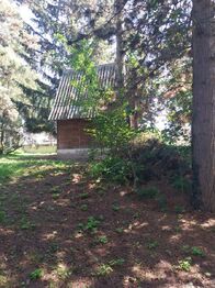 Pronájem chaty / chalupy 10 m², Hradec Králové