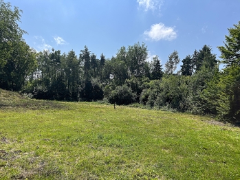 Pozemek - Prodej pozemku 3238 m², Mukařov