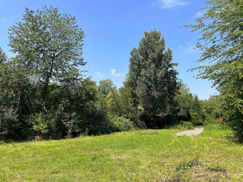 Pozemek - Prodej pozemku 3238 m², Mukařov
