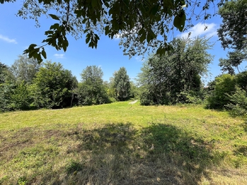 Pozemek - Prodej pozemku 3238 m², Mukařov