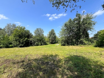 Pohled na pozemek - Prodej pozemku 3238 m², Mukařov