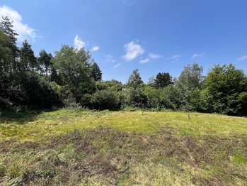 Pozemek - Prodej pozemku 3238 m², Mukařov