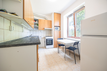 Pronájem bytu 2+1 v osobním vlastnictví 53 m², Praha 3 - Žižkov