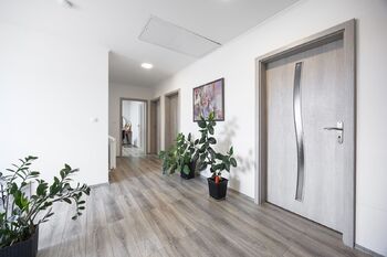 Chodba - Prodej domu 234 m², Tuřice