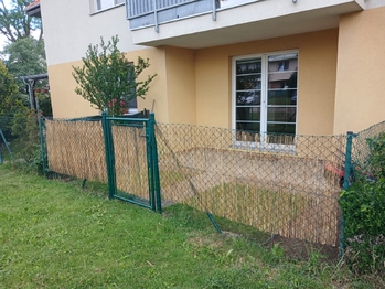 Pronájem bytu 1+kk v osobním vlastnictví 41 m², Holubice