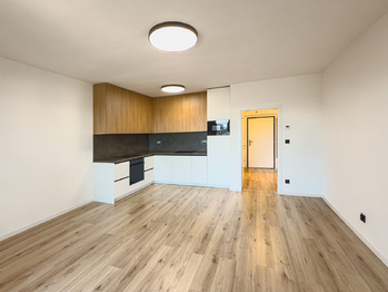 Pronájem bytu 1+kk v osobním vlastnictví 39 m², České Budějovice
