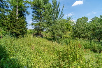 Prodej pozemku 2771 m², Velký Vřešťov