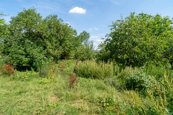 Prodej pozemku 2771 m², Velký Vřešťov
