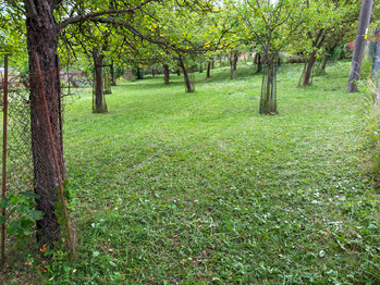 Prodej zemědělského objektu 120 m², Velký Vřešťov