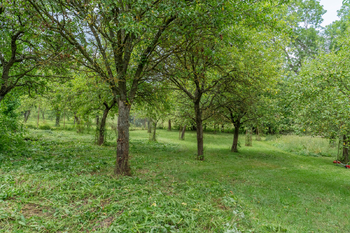 Prodej zemědělského objektu 120 m², Velký Vřešťov
