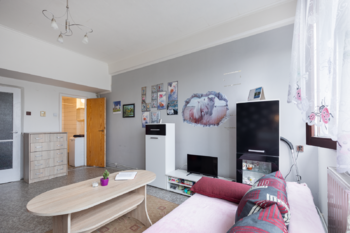 Prodej bytu 1+kk v družstevním vlastnictví 26 m², Litvínov