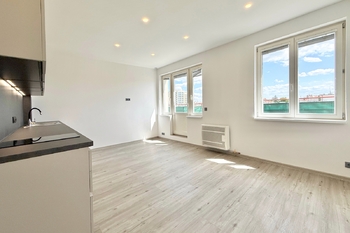 Pronájem bytu 1+kk v osobním vlastnictví 29 m², Praha 3 - Žižkov