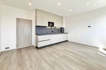 Pronájem bytu 1+kk v osobním vlastnictví 29 m², Praha 3 - Žižkov