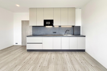 Pronájem bytu 1+kk v osobním vlastnictví 29 m², Praha 3 - Žižkov