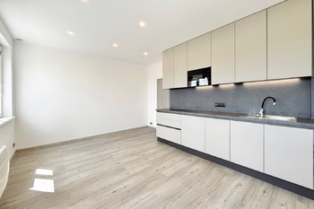 Pronájem bytu 1+kk v osobním vlastnictví 29 m², Praha 3 - Žižkov