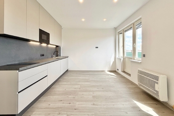Pronájem bytu 1+kk v osobním vlastnictví 29 m², Praha 3 - Žižkov