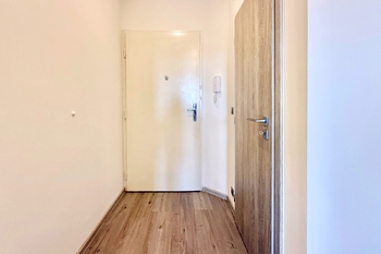 Pronájem bytu 1+kk v osobním vlastnictví 29 m², Praha 3 - Žižkov