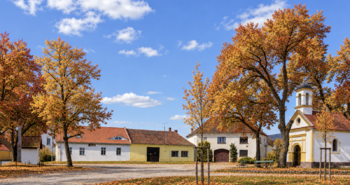 Prodej pozemku 1463 m², Lhenice