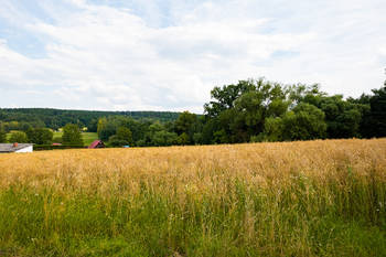 Prodej pozemku 7737 m², Týn nad Vltavou