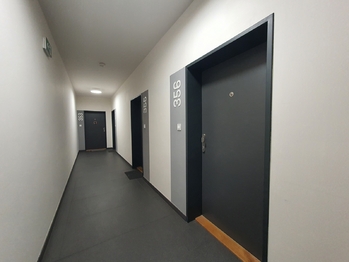 Pronájem bytu 1+kk v osobním vlastnictví 32 m², Brno