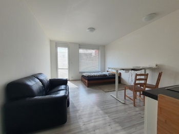 Pronájem bytu 1+kk v osobním vlastnictví 32 m², Brno