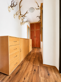Prodej bytu 3+kk v osobním vlastnictví 57 m², Vikantice