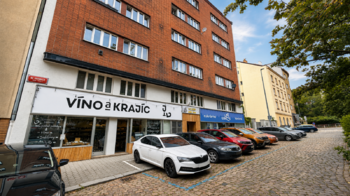 Pronájem bytu 2+1 v osobním vlastnictví 54 m², Praha 4 - Podolí