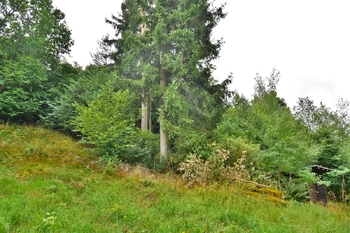 Prodej domu 79 m², Stará Paka