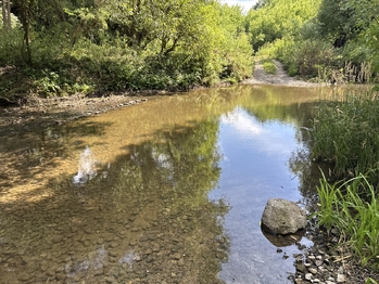 Prodej chaty / chalupy 55 m², Ivančice