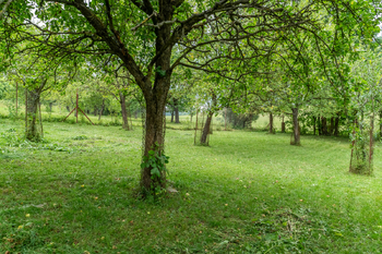 Prodej pozemku 1678 m², Velký Vřešťov