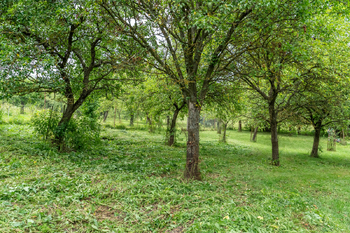 Prodej pozemku 1678 m², Velký Vřešťov