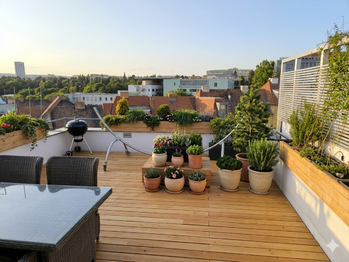 Prodej bytu 3+1 v osobním vlastnictví 181 m², Brno
