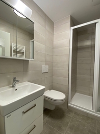 Pronájem bytu 1+kk v osobním vlastnictví 36 m², Plzeň