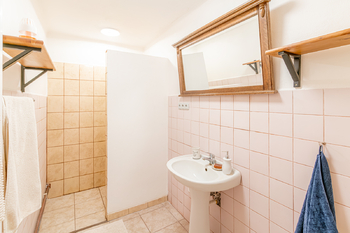 Přízemí domu / koupelna  - Prodej domu 240 m², Počaply